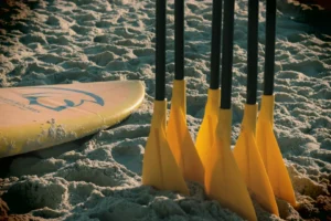 Stand Up Paddle ao Nascer do Sol